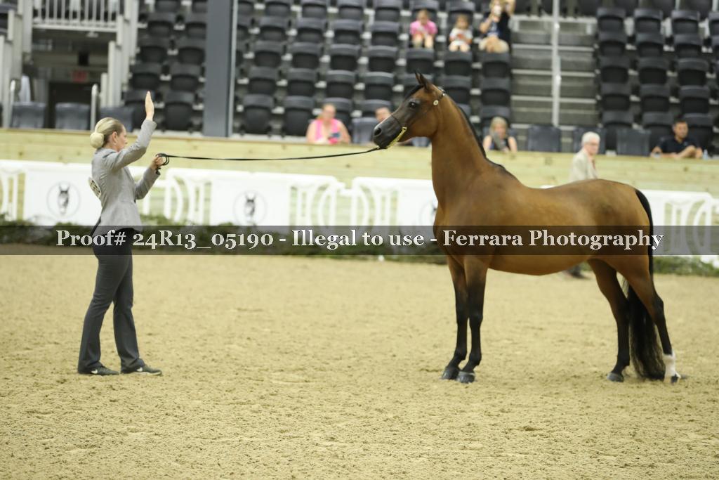 Proof 24R13_05190