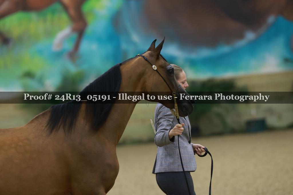 Proof 24R13_05191