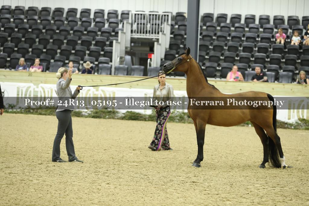 Proof 24R13_05195