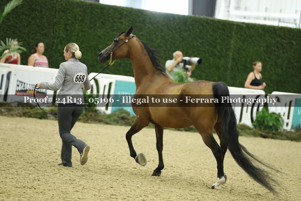 Proof 24R13_05196