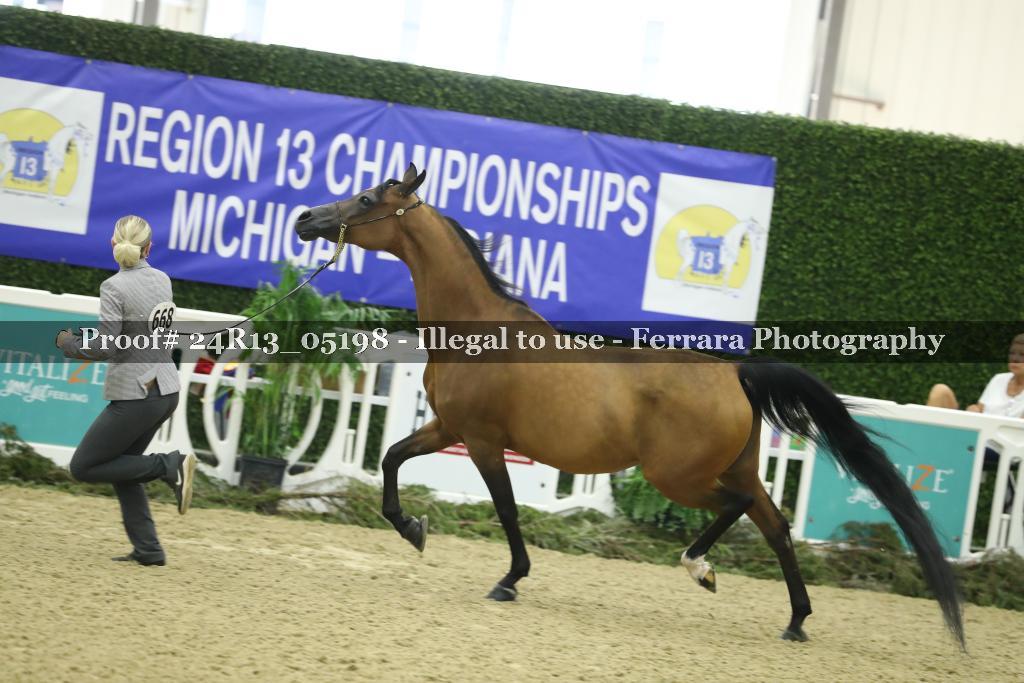Proof 24R13_05198