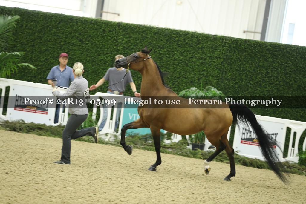 Proof 24R13_05199