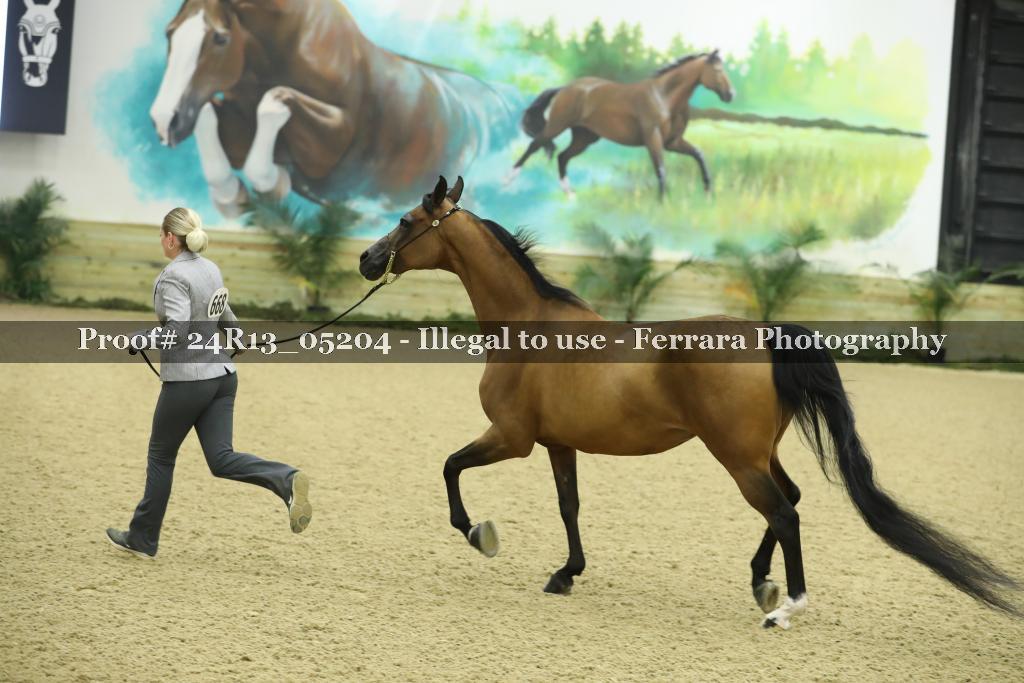 Proof 24R13_05204