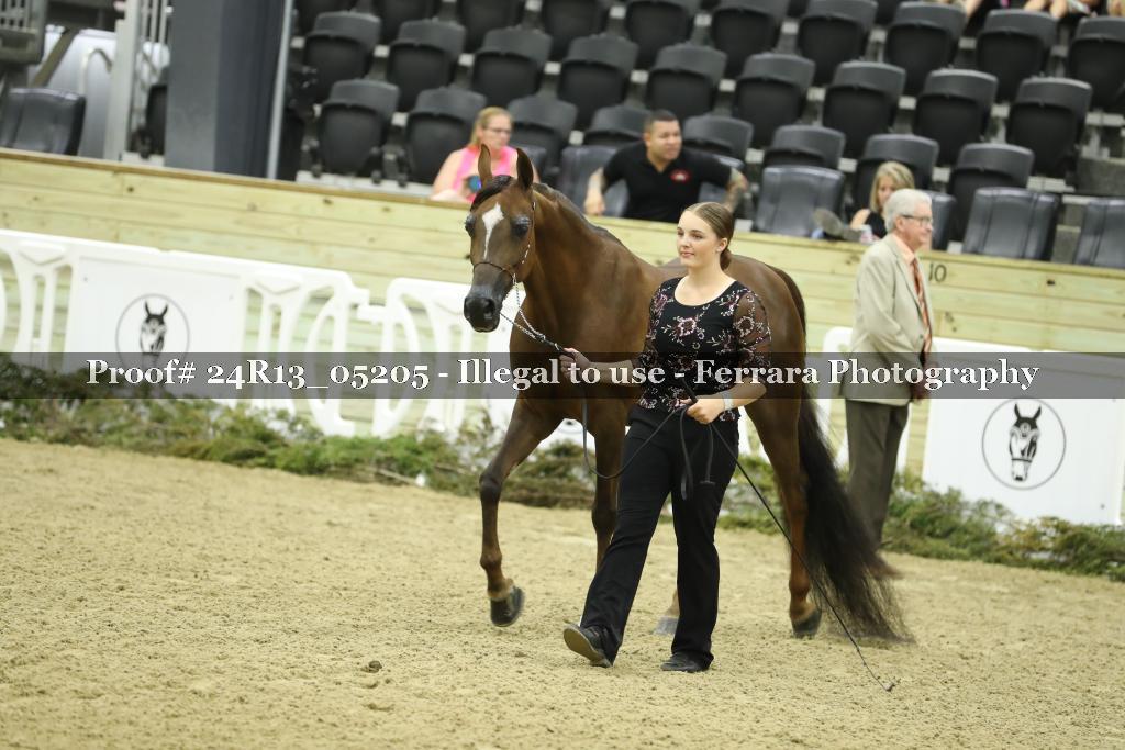 Proof 24R13_05205