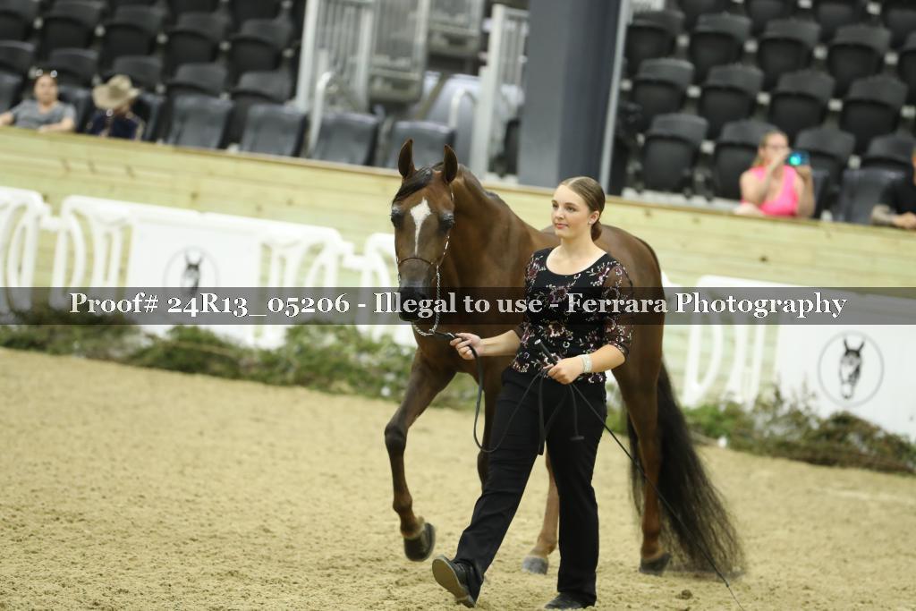 Proof 24R13_05206
