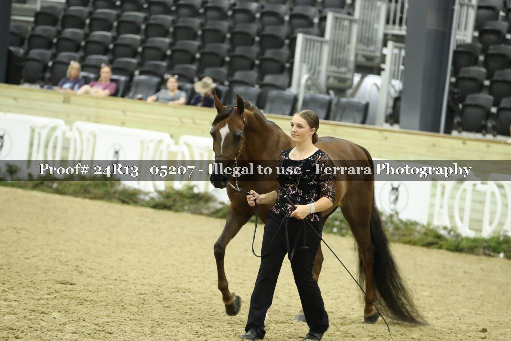 Proof 24R13_05207