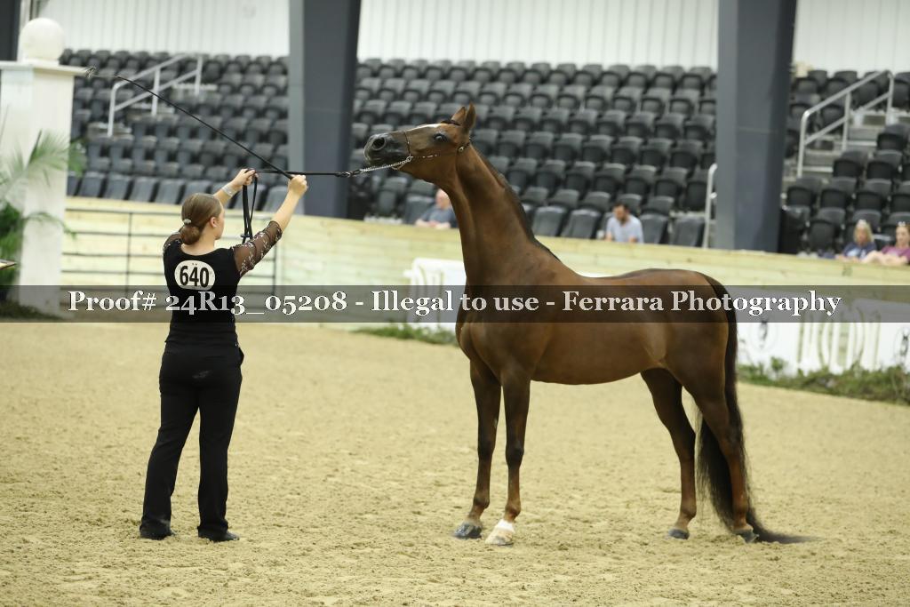 Proof 24R13_05208