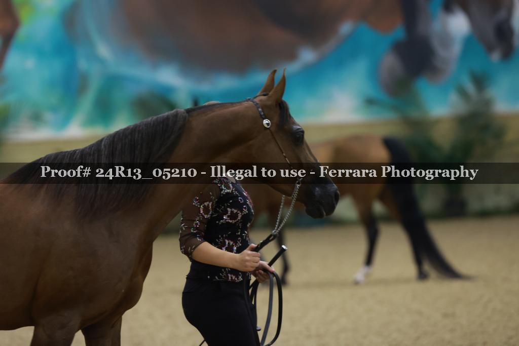 Proof 24R13_05210