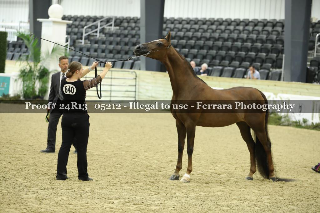 Proof 24R13_05212