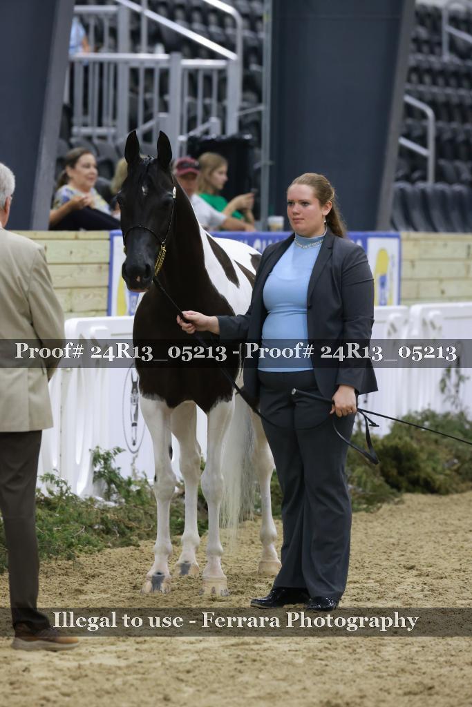 Proof 24R13_05213