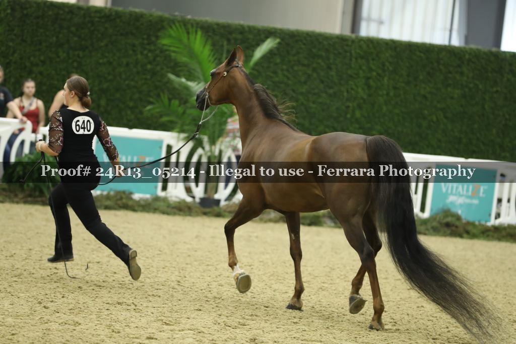 Proof 24R13_05214