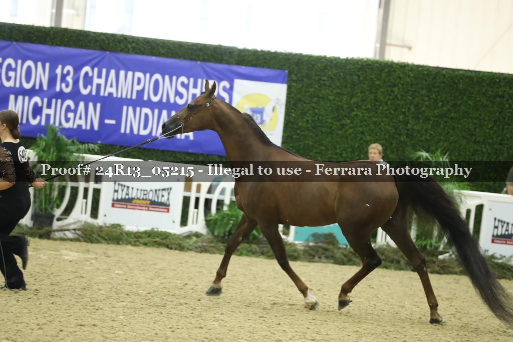 Proof 24R13_05215