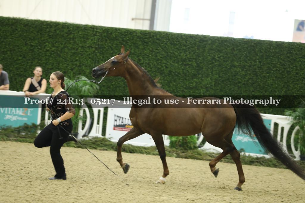 Proof 24R13_05217
