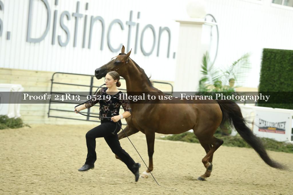 Proof 24R13_05219