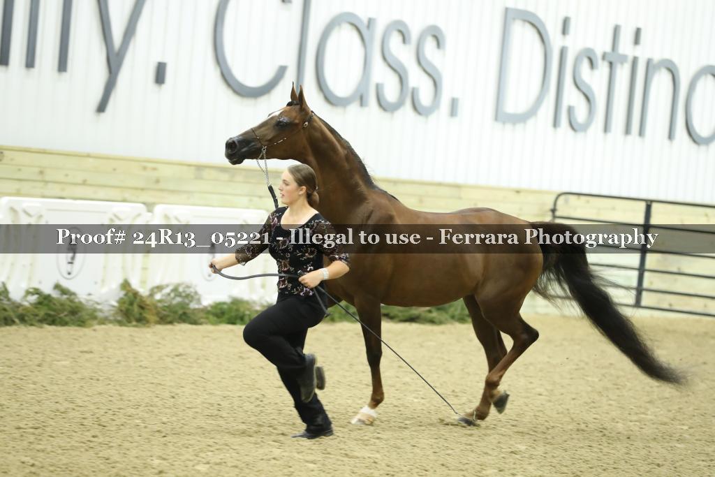 Proof 24R13_05221