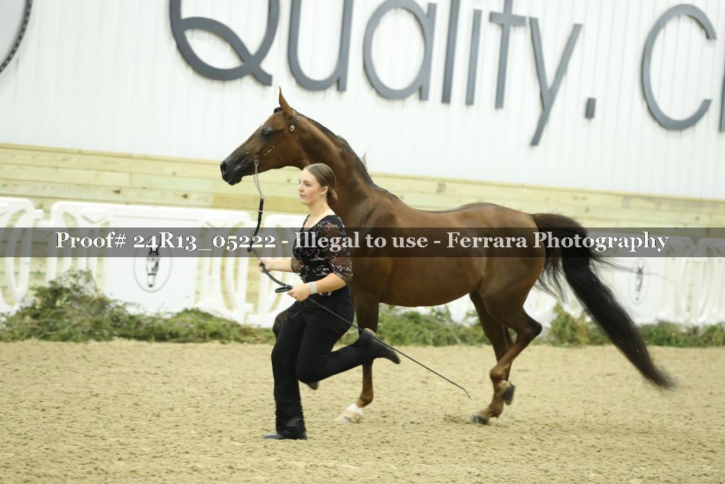 Proof 24R13_05222