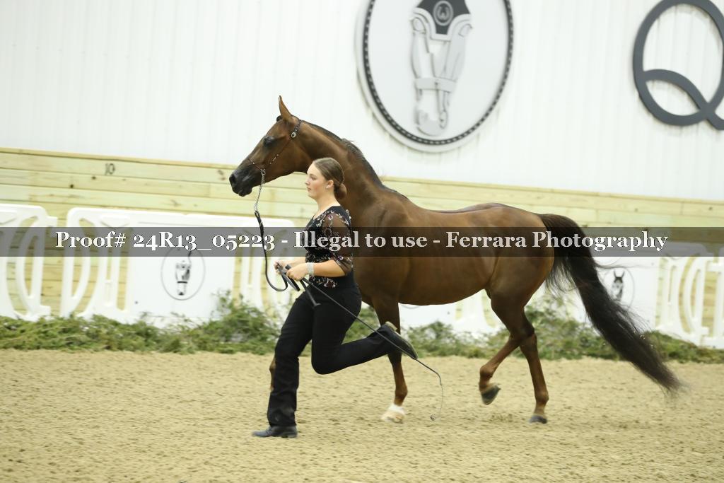 Proof 24R13_05223