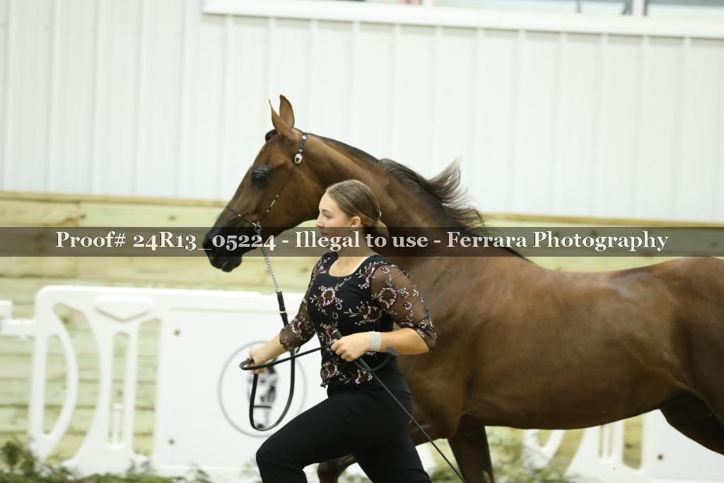 Proof 24R13_05224