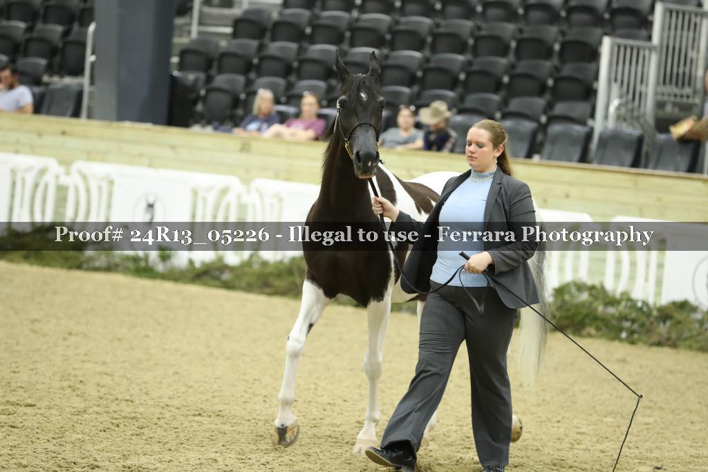 Proof 24R13_05226