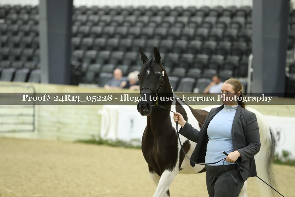 Proof 24R13_05228