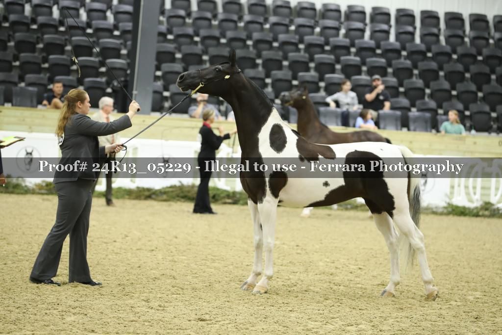 Proof 24R13_05229