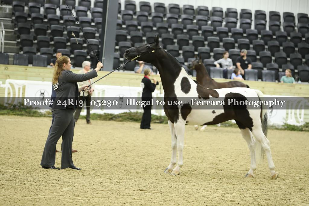 Proof 24R13_05230