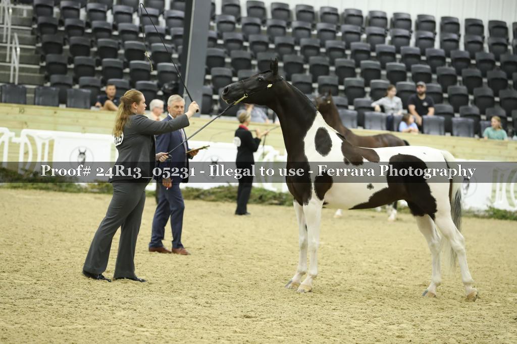 Proof 24R13_05231