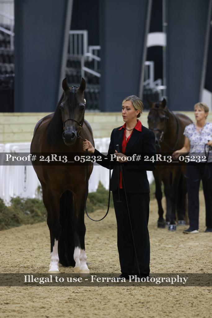 Proof 24R13_05232