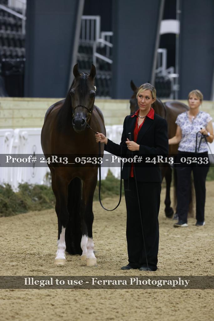 Proof 24R13_05233