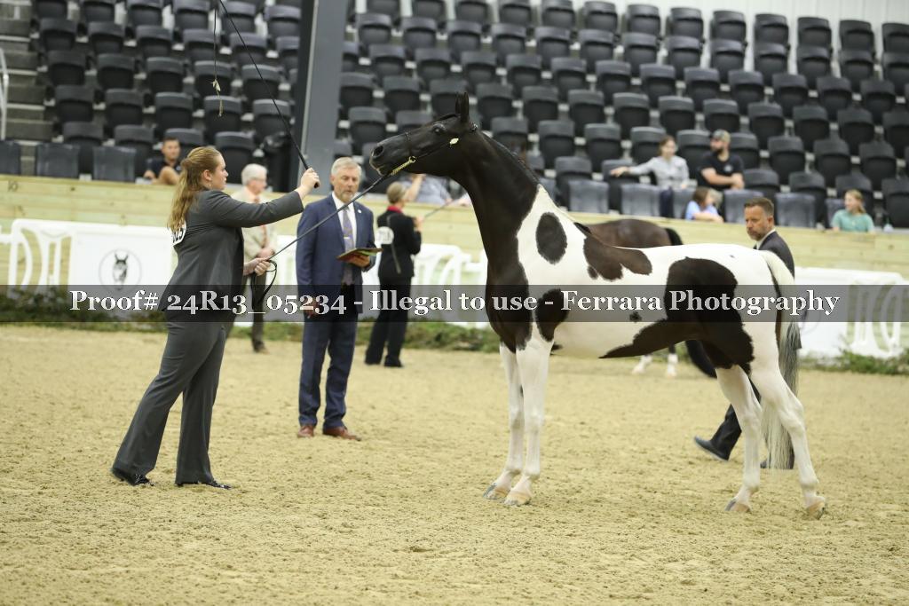 Proof 24R13_05234