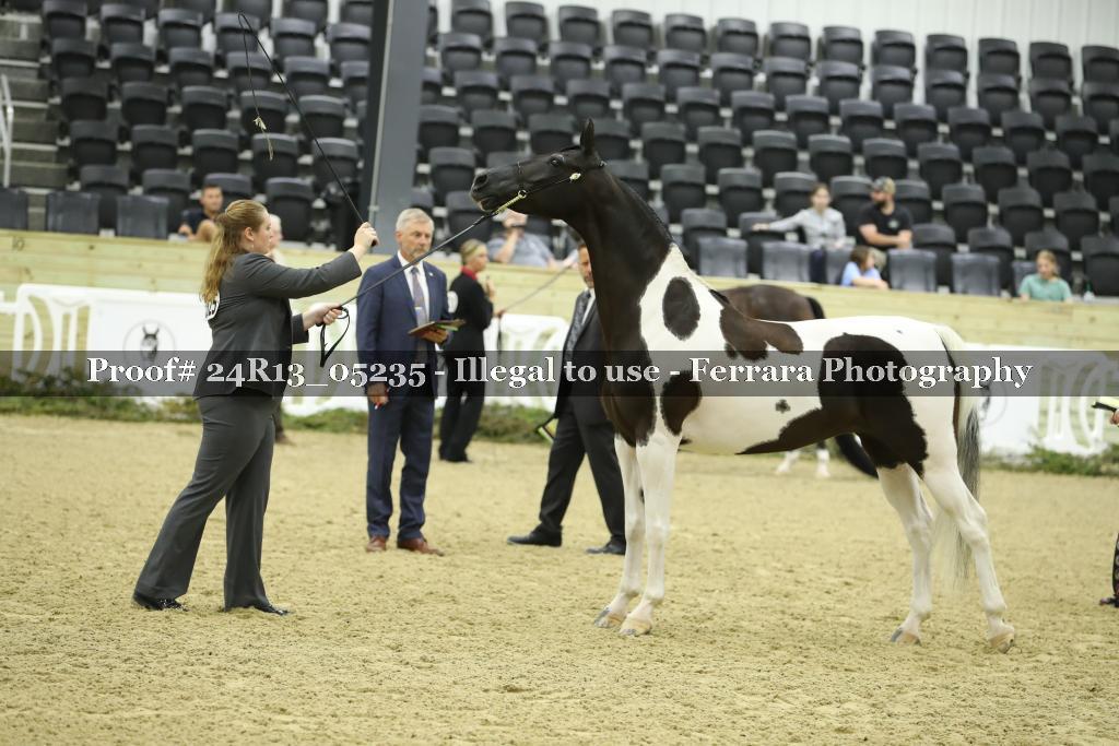 Proof 24R13_05235