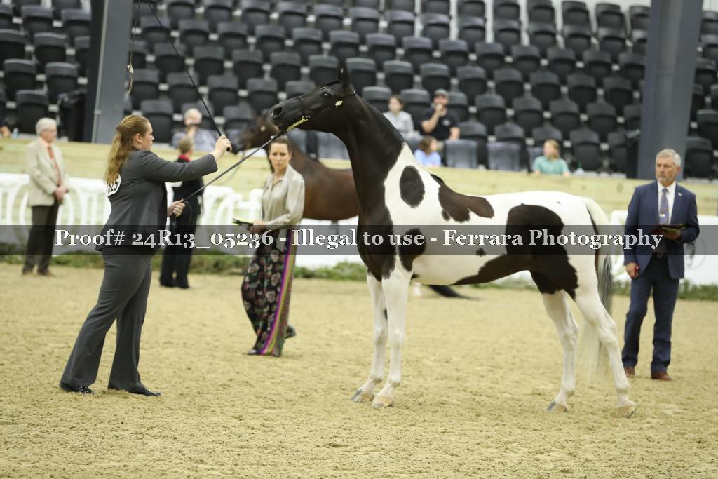 Proof 24R13_05236