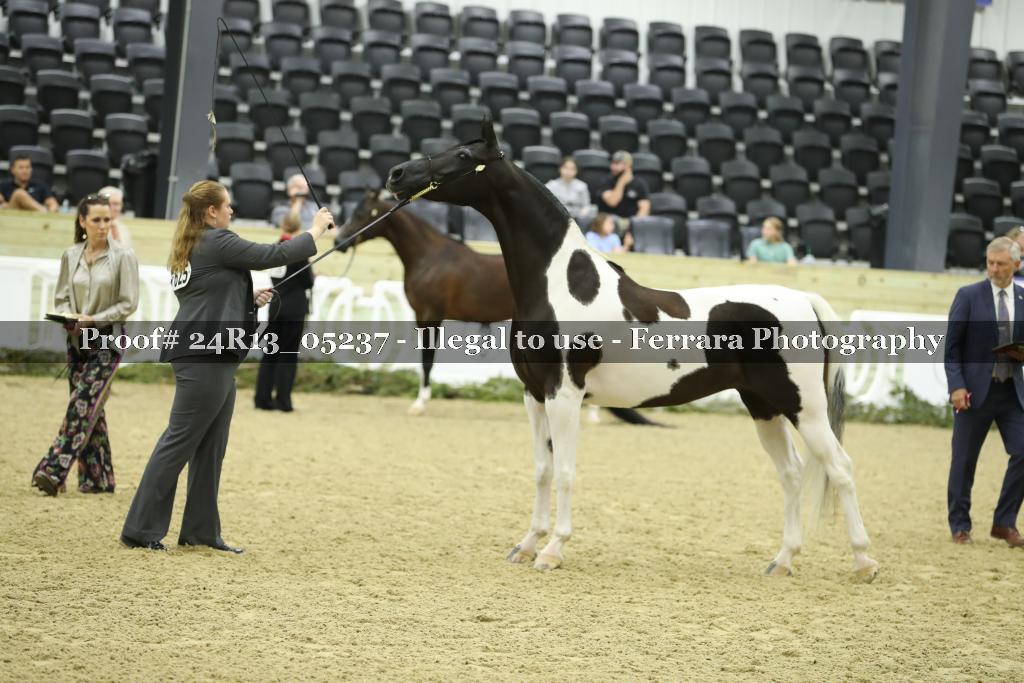 Proof 24R13_05237