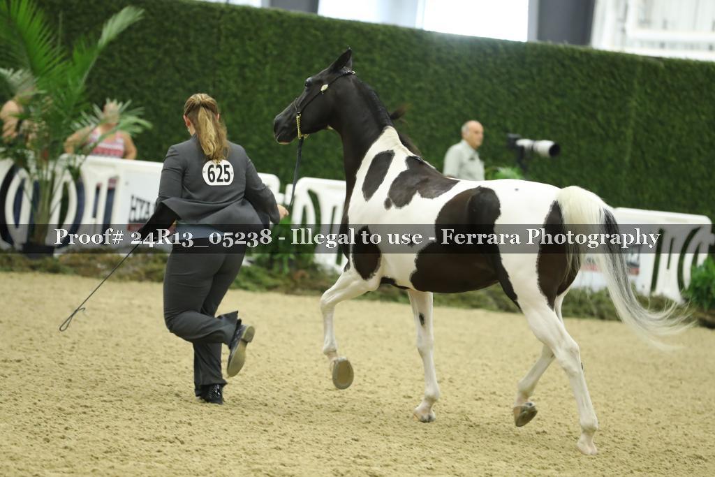 Proof 24R13_05238