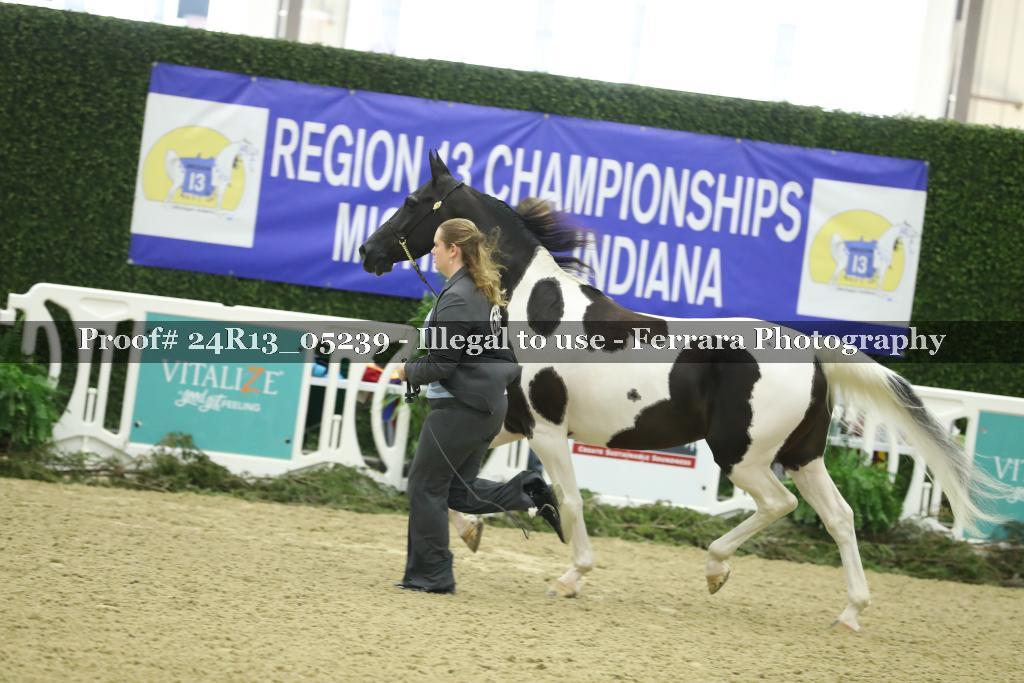 Proof 24R13_05239