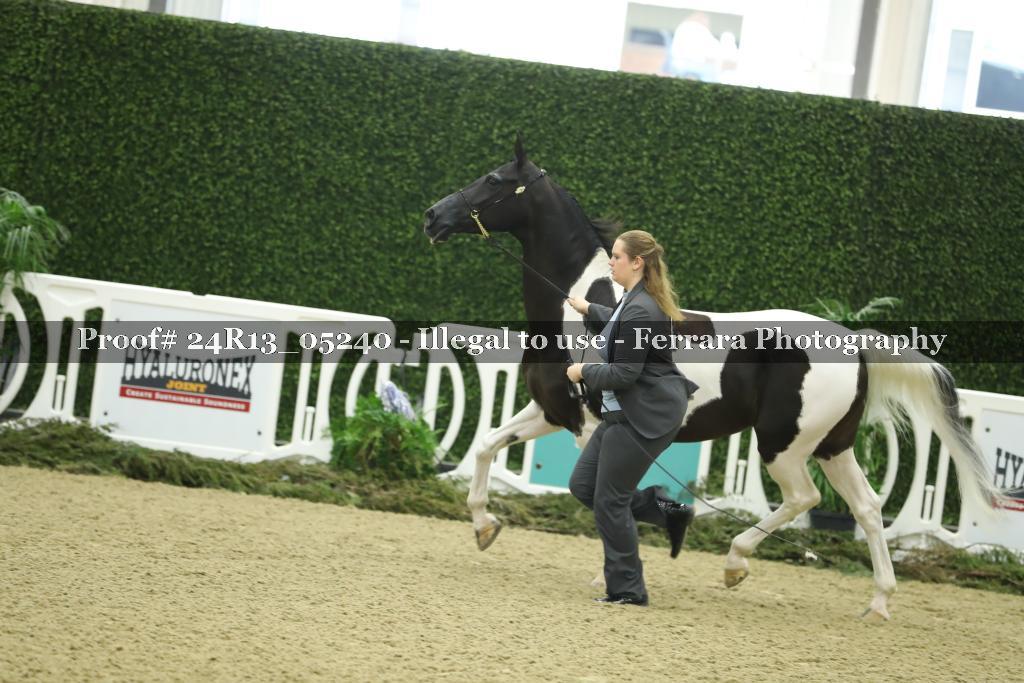 Proof 24R13_05240