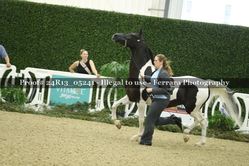 Proof 24R13_05241