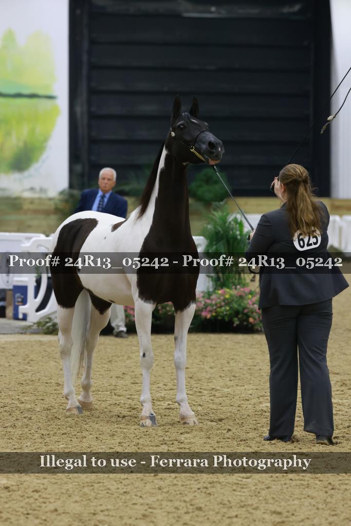 Proof 24R13_05242