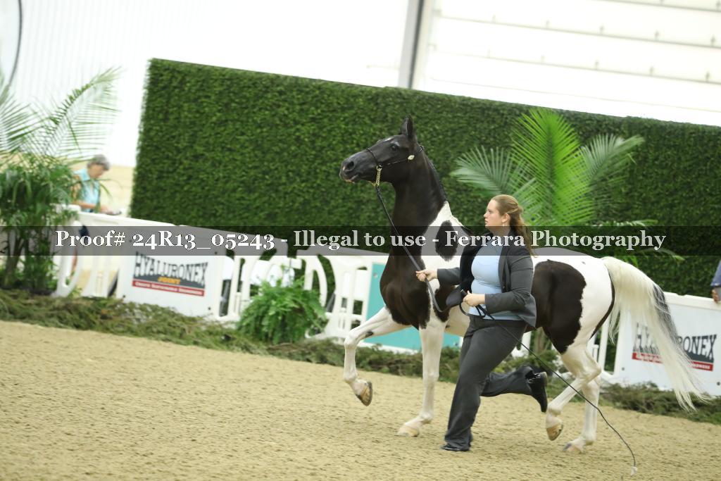 Proof 24R13_05243