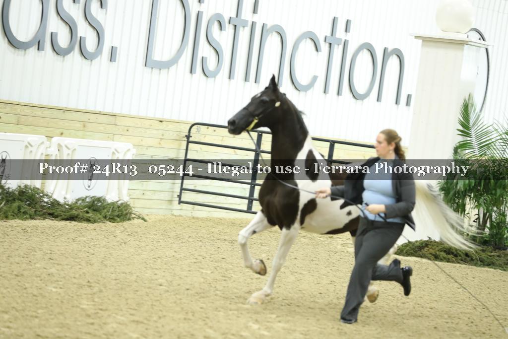 Proof 24R13_05244