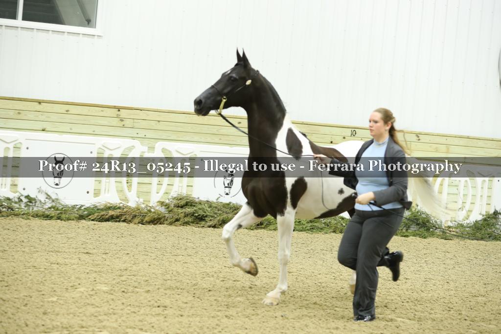 Proof 24R13_05245