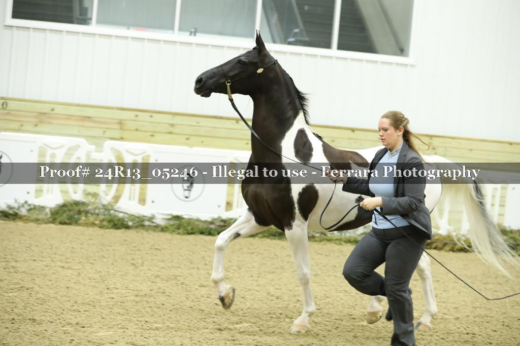 Proof 24R13_05246