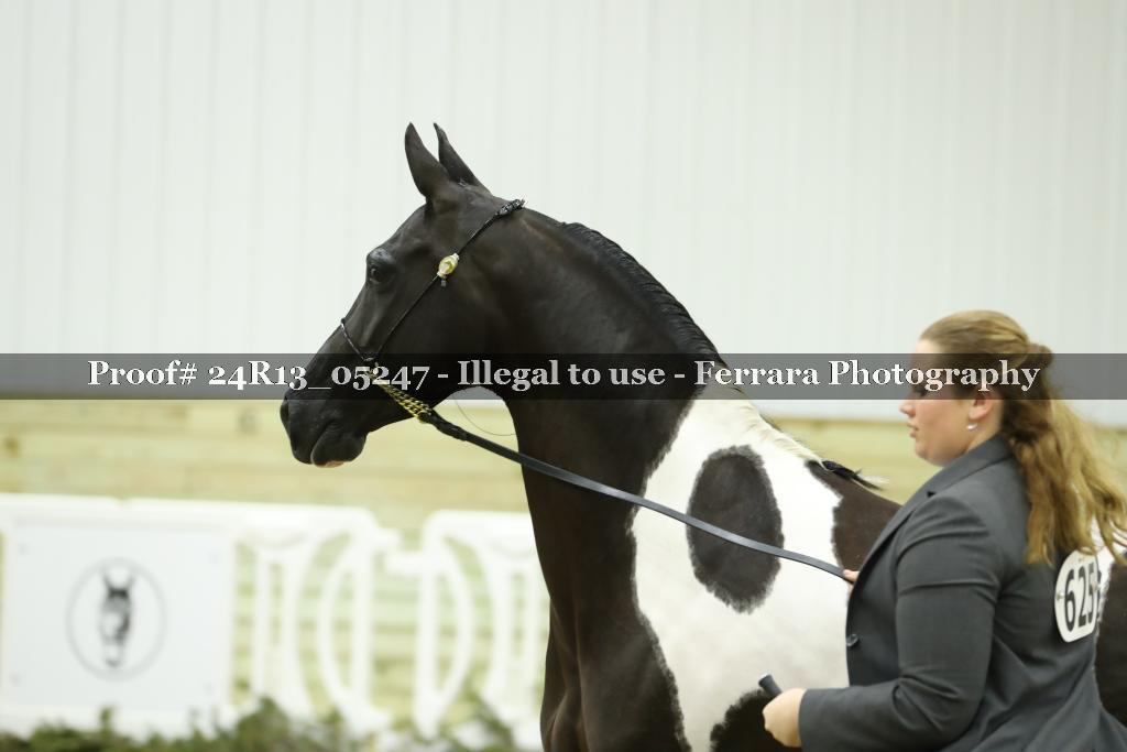 Proof 24R13_05247