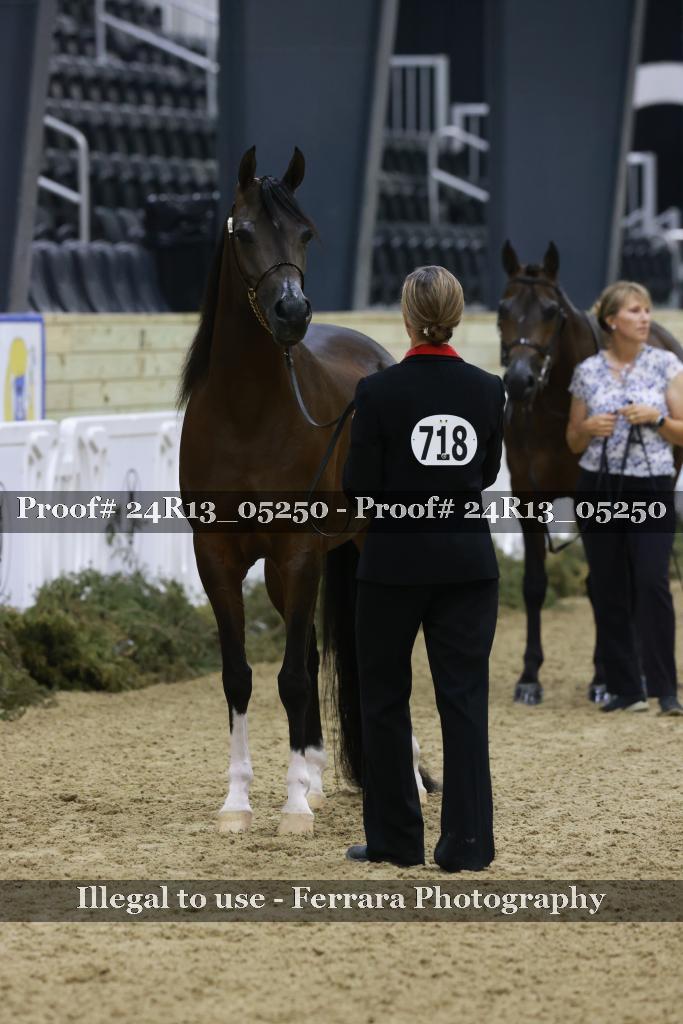 Proof 24R13_05250