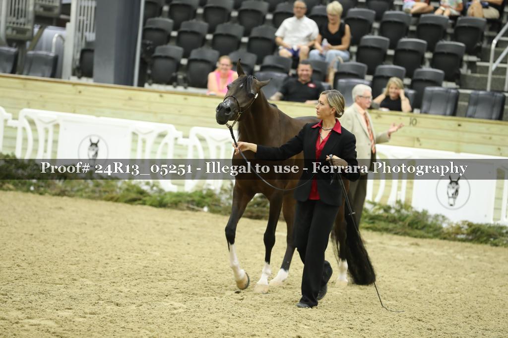 Proof 24R13_05251
