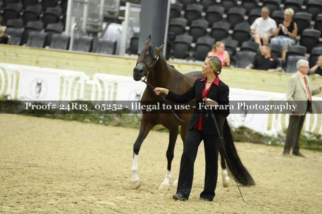 Proof 24R13_05252