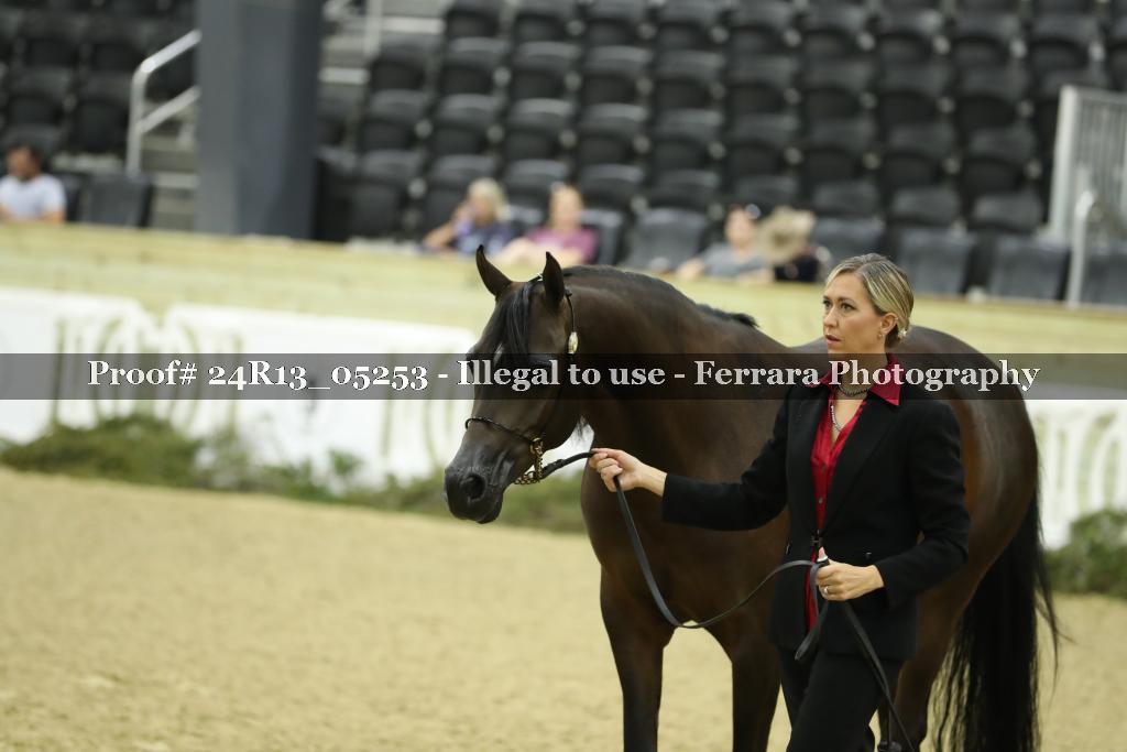 Proof 24R13_05253