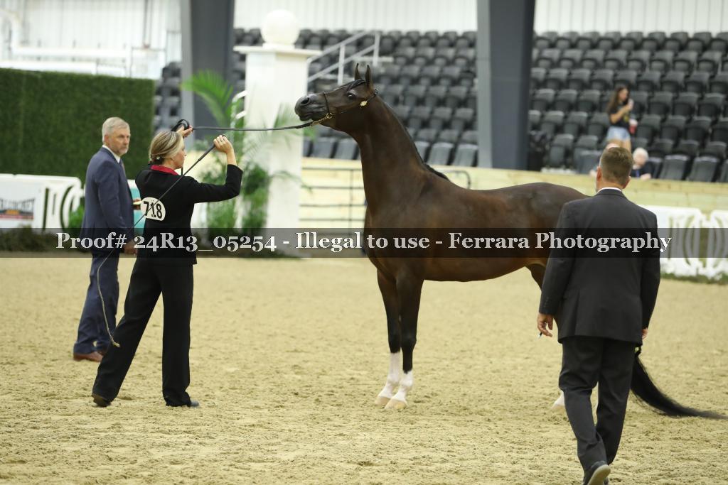Proof 24R13_05254