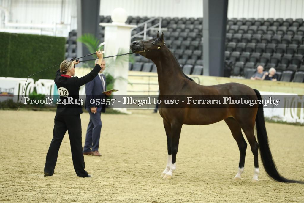 Proof 24R13_05257