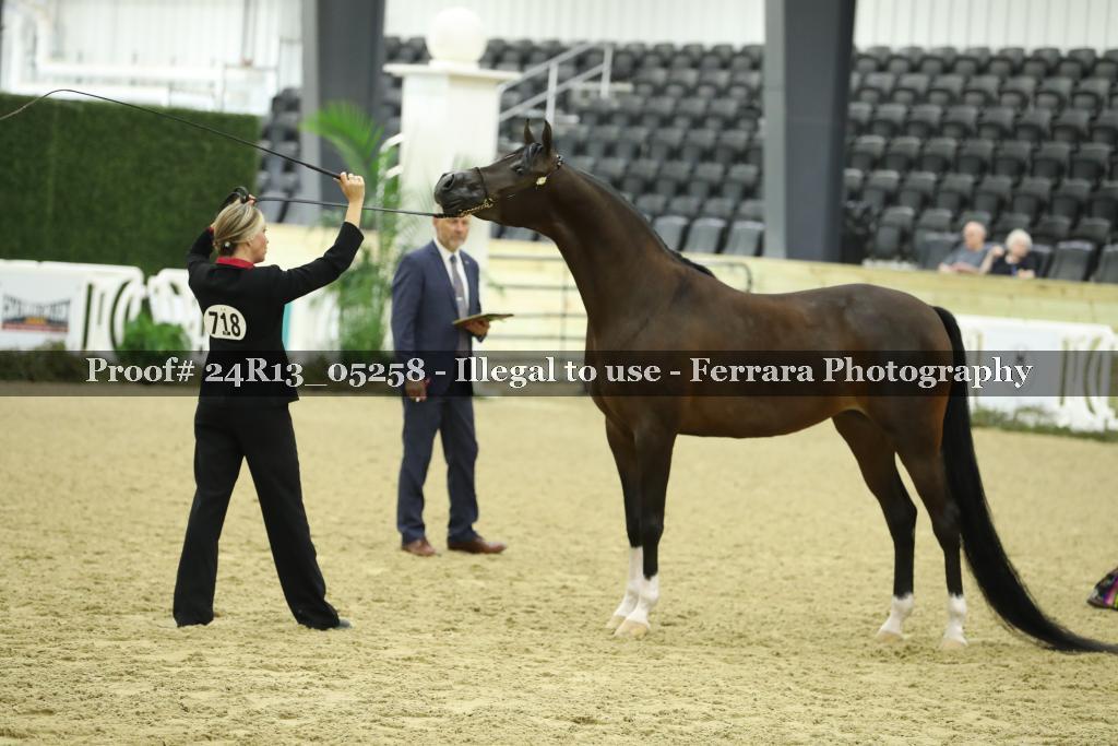 Proof 24R13_05258